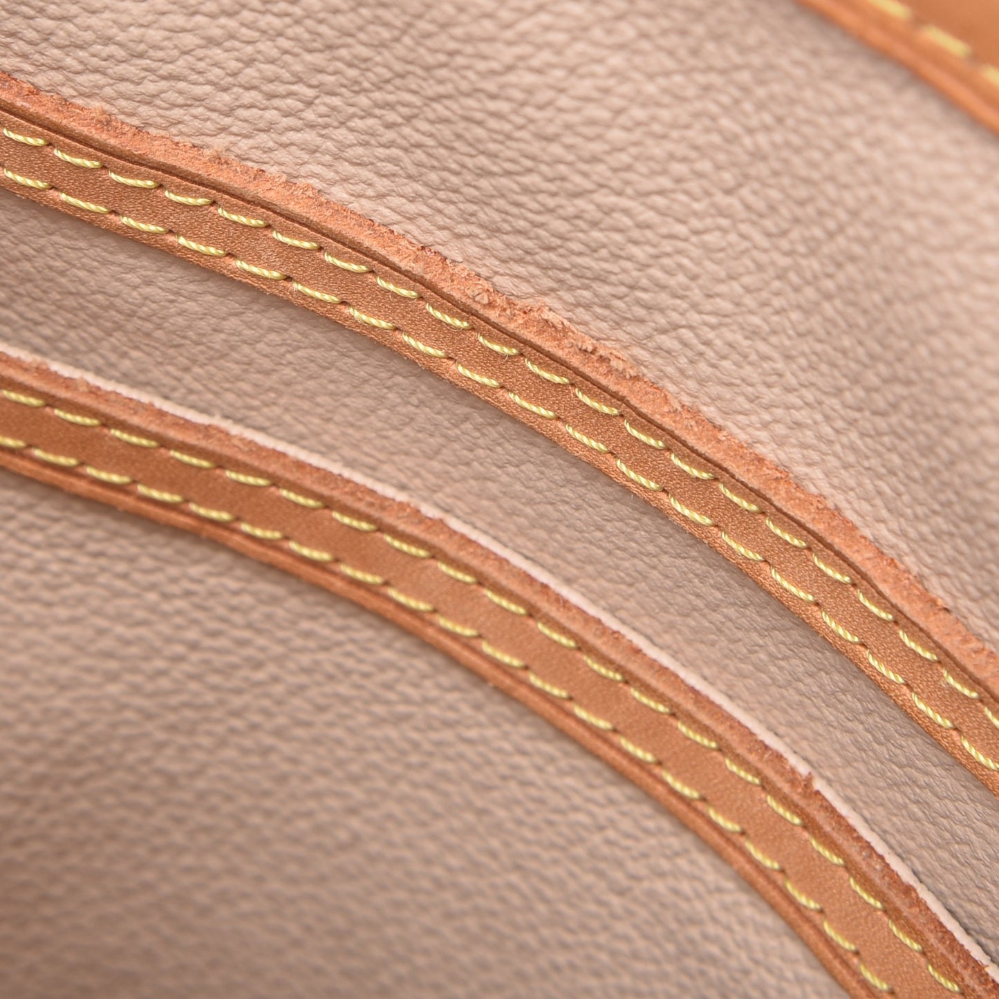 Monogram Petit Bucket 23