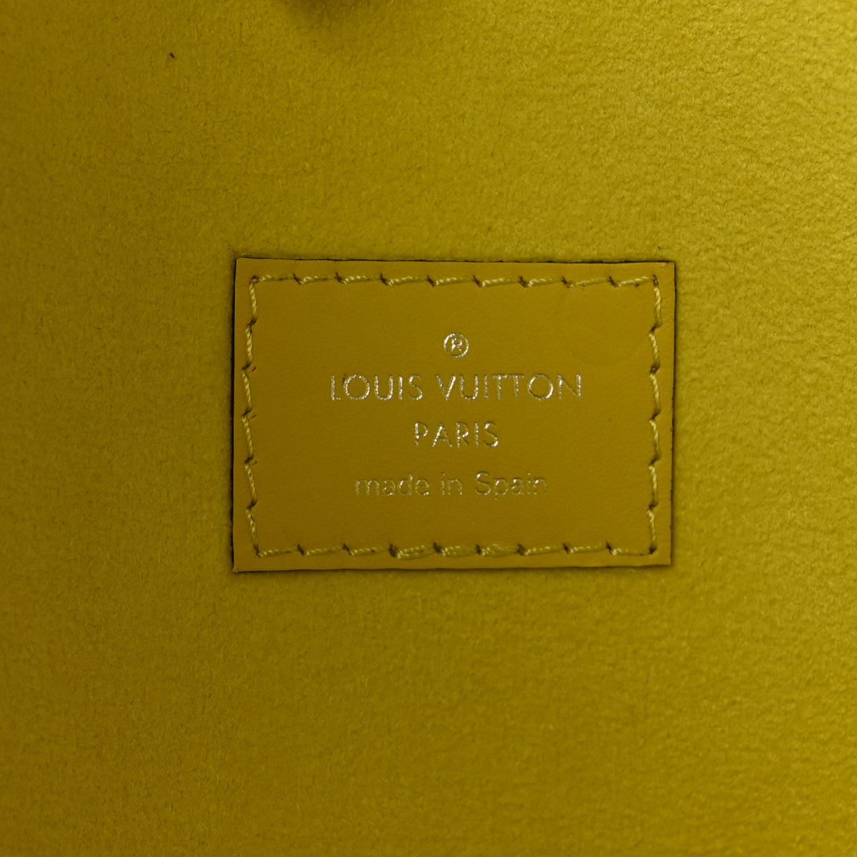 Louis Vuitton Epi Neverfull MM Pistache 7 of 11