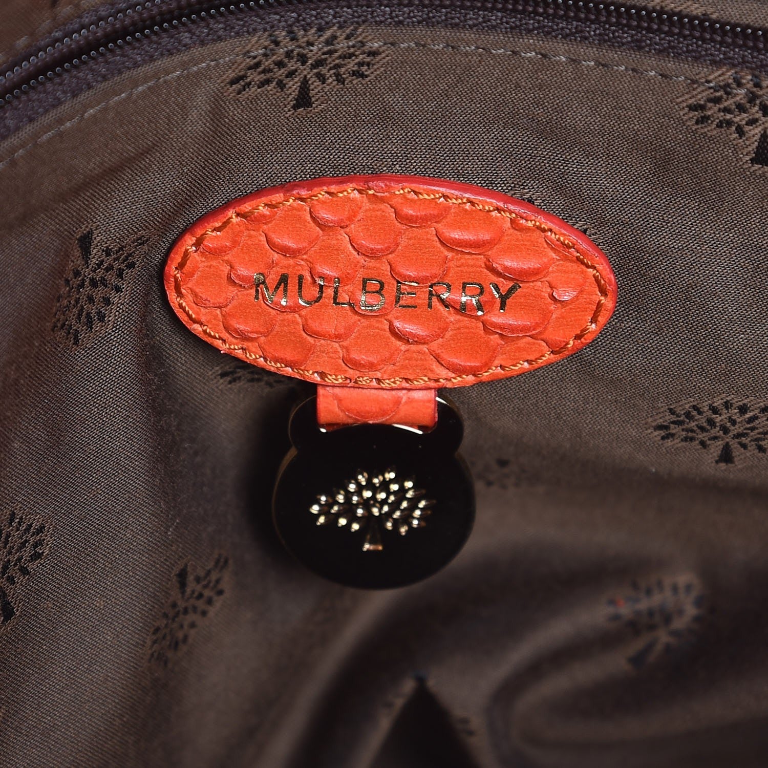 Mulberry Silky Snake Print Alexa Flame 6 of 7