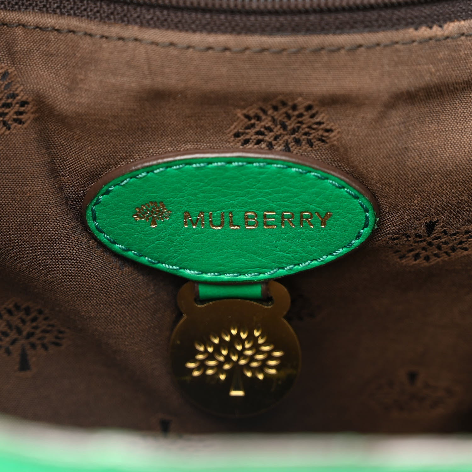 Mulberry Soft Buffalo Medium Alexa Aqua Green 6 of 17