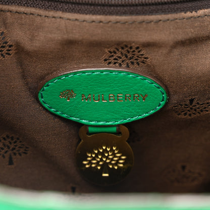 Mulberry Soft Buffalo Medium Alexa Aqua Green 6 of 17