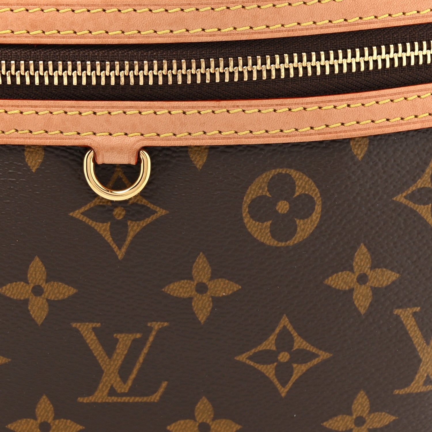 Louis Vuitton Monogram High Rise Bumbag 7 of 9