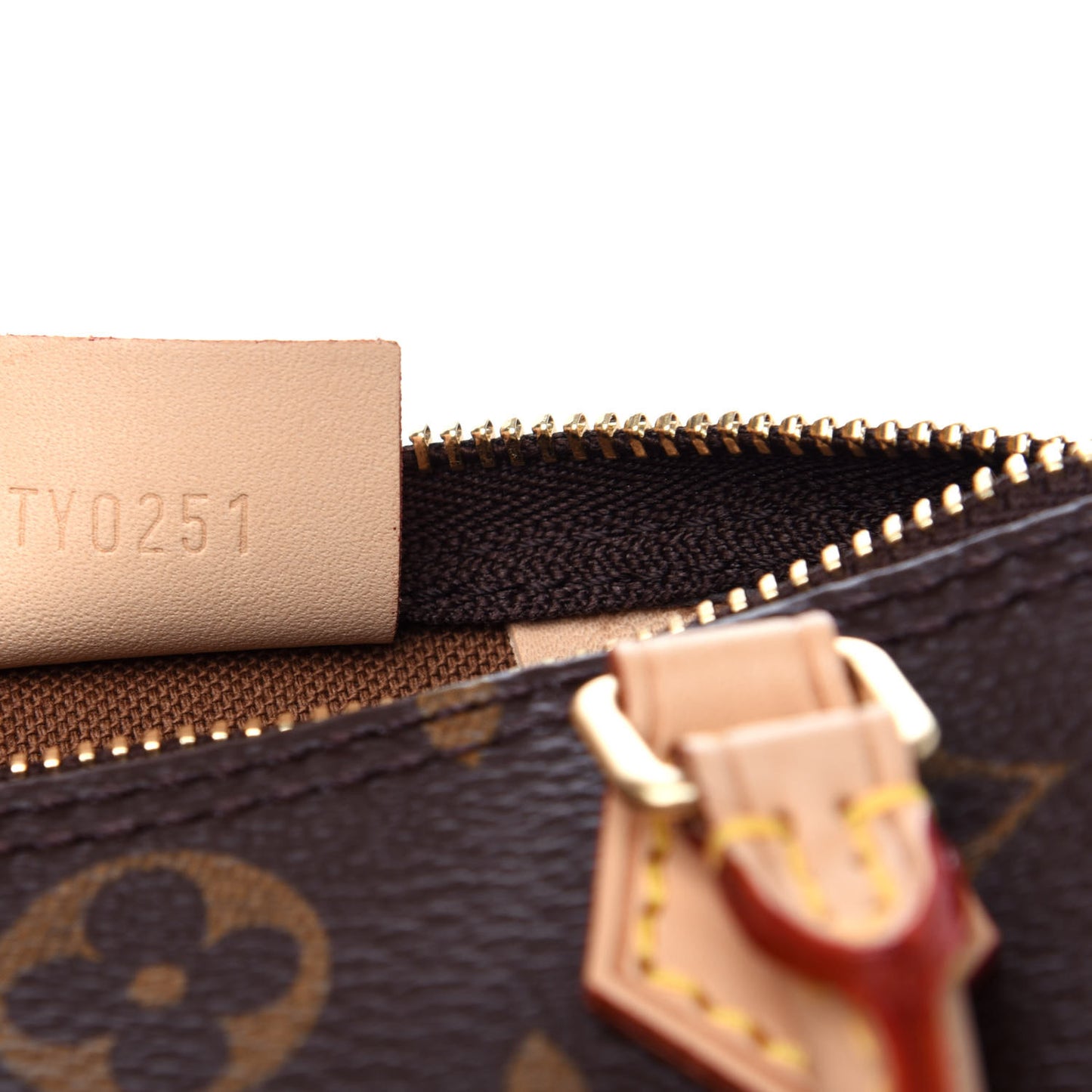 Monogram Nano Speedy