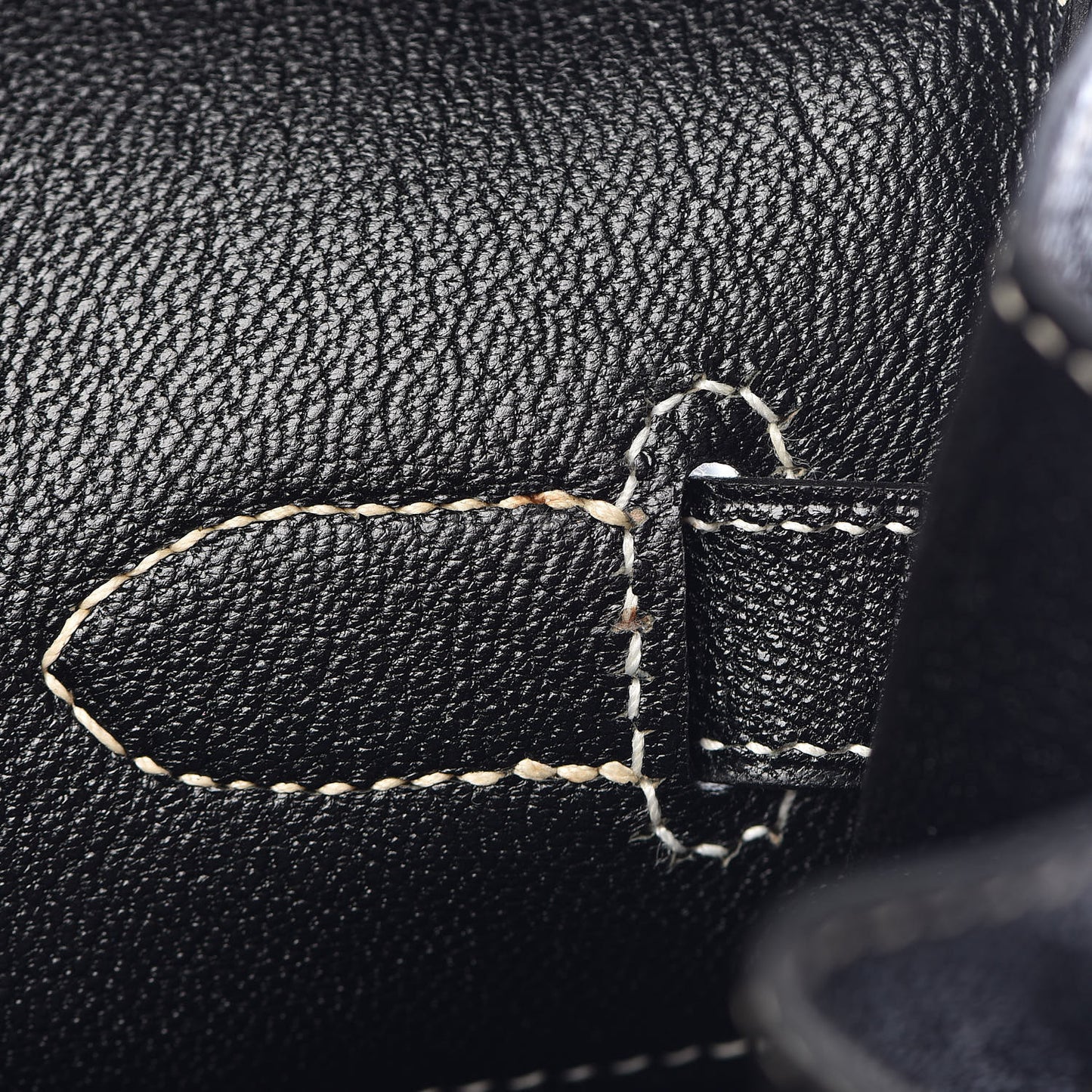 Chevre de Coromandel Birkin 35 Black