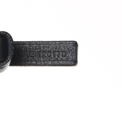 Goyard Goyardine Saint Louis PM Black 7 of 7