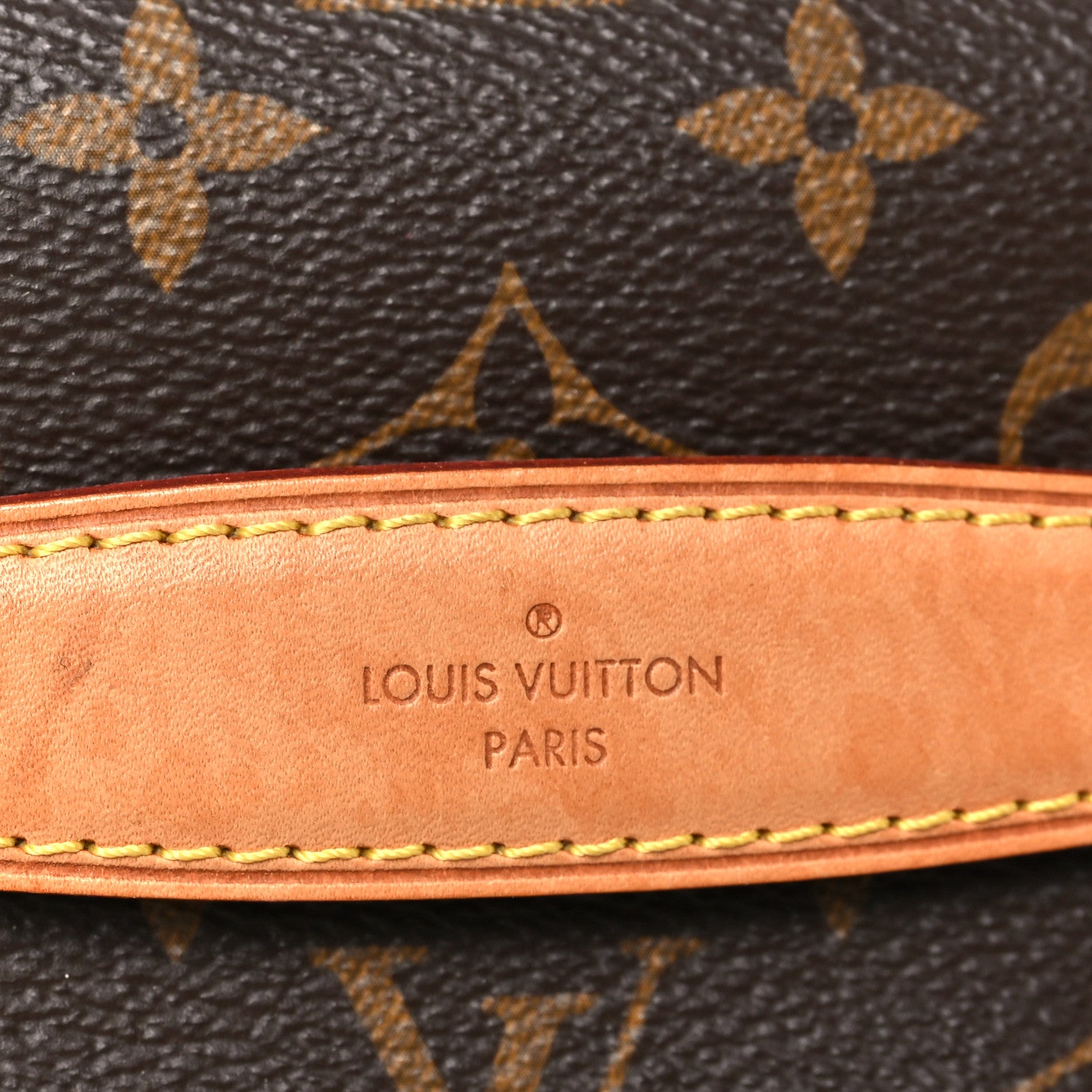 Louis Vuitton Monogram Bumbag 10 of 11