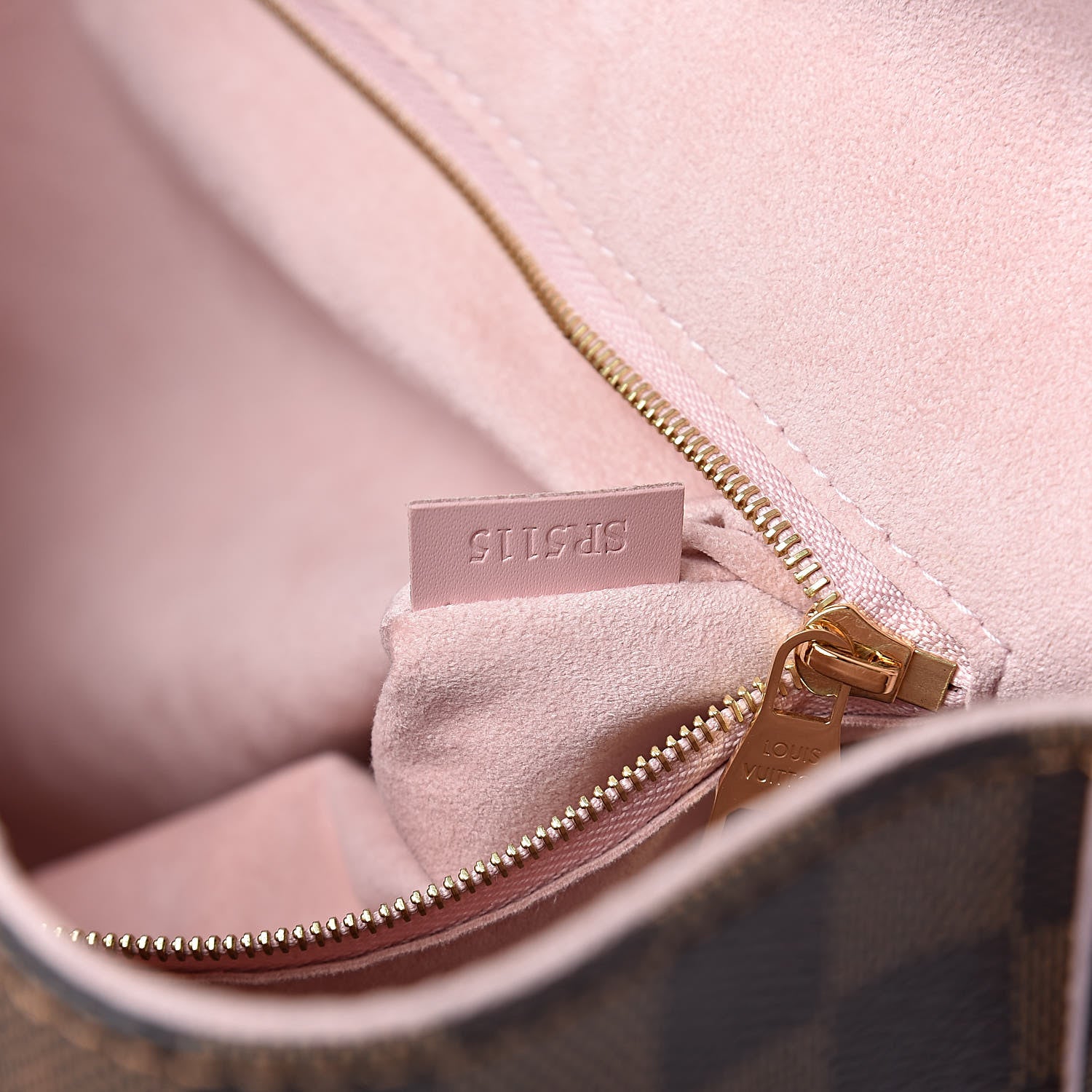 Louis Vuitton Damier Ebene Caissa Hobo Rose Ballerine 9 of 10