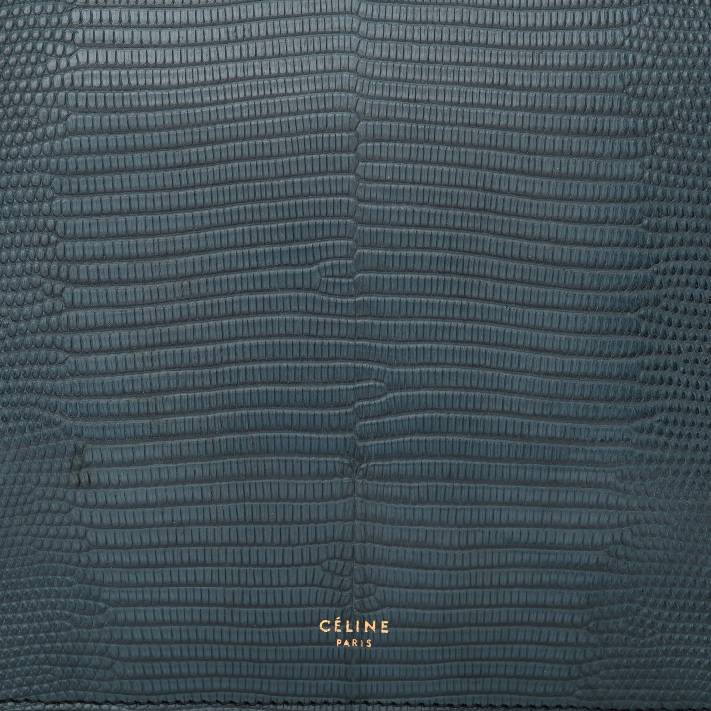 Lizard Mini Clasp Bag Blue