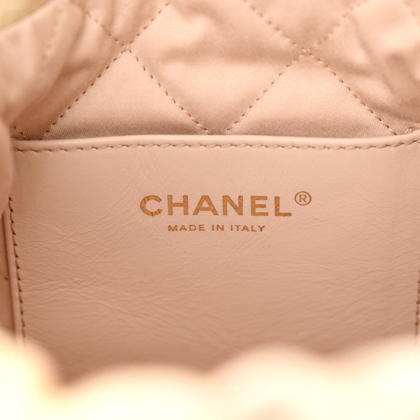 Pearly Shaded Calfskin Quilted Mini Chanel 22 Ecru Golden