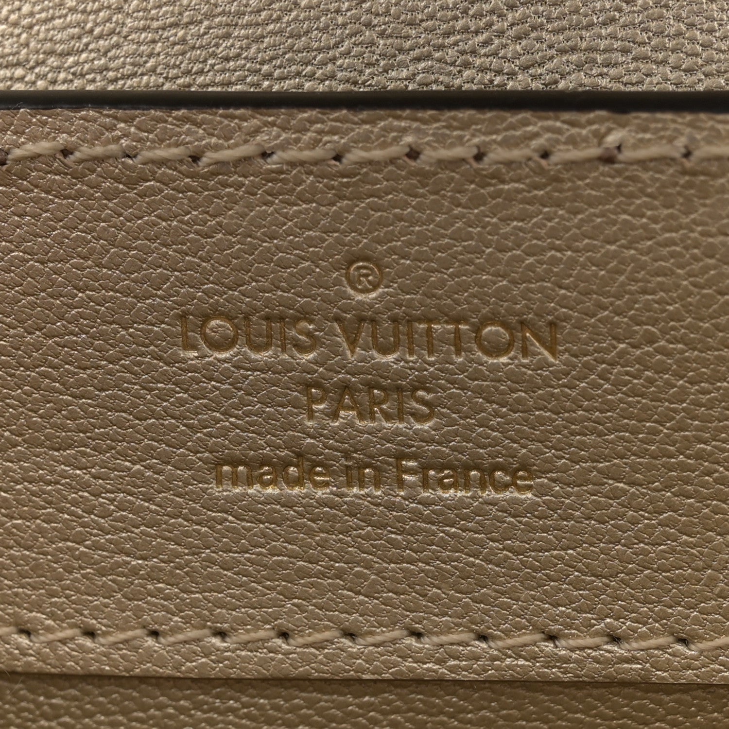 Louis Vuitton Metallic Lizard Capucines Mini Gold 6 of 9