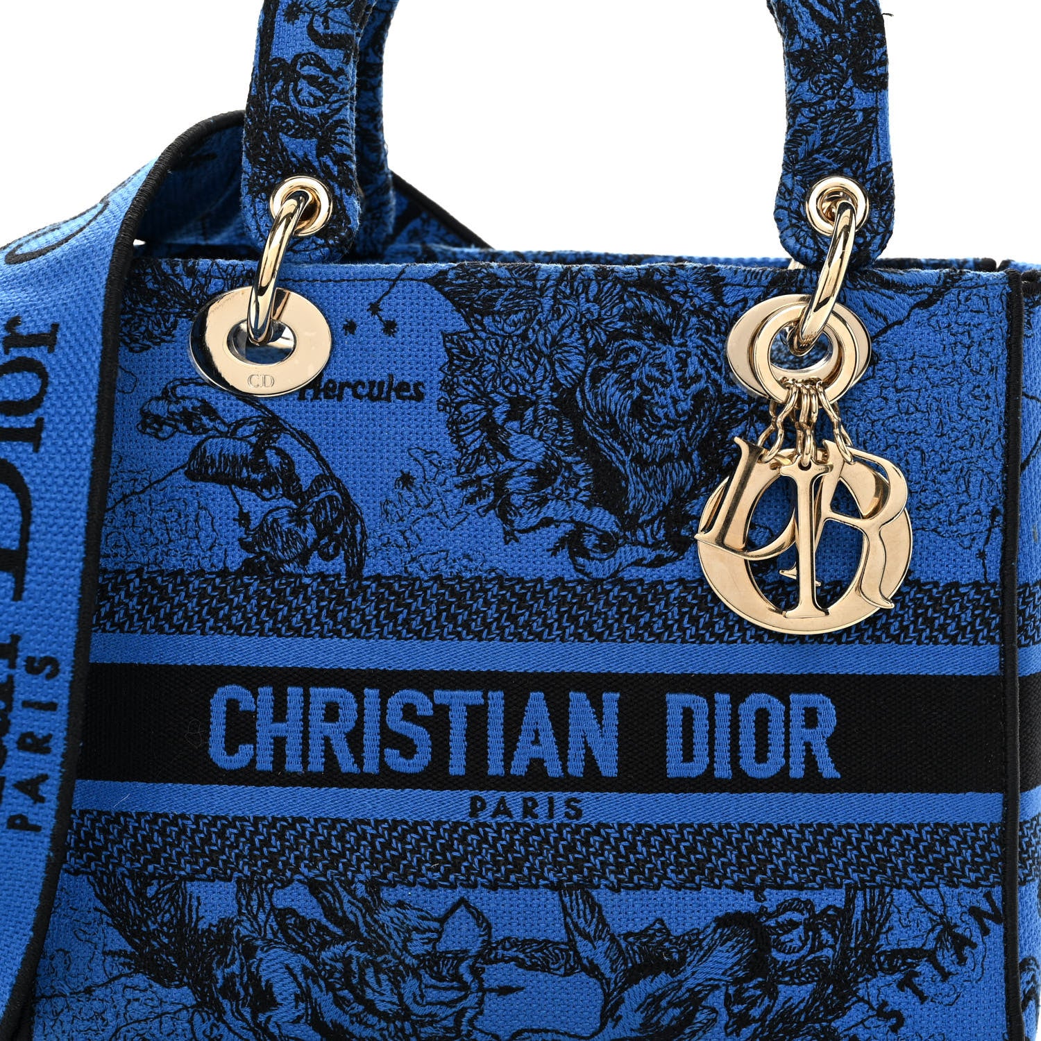 Christian Dior Canvas Toile de Jouy Zodiac Embroidered Medium Lady D-Lite Blue 7 of 11