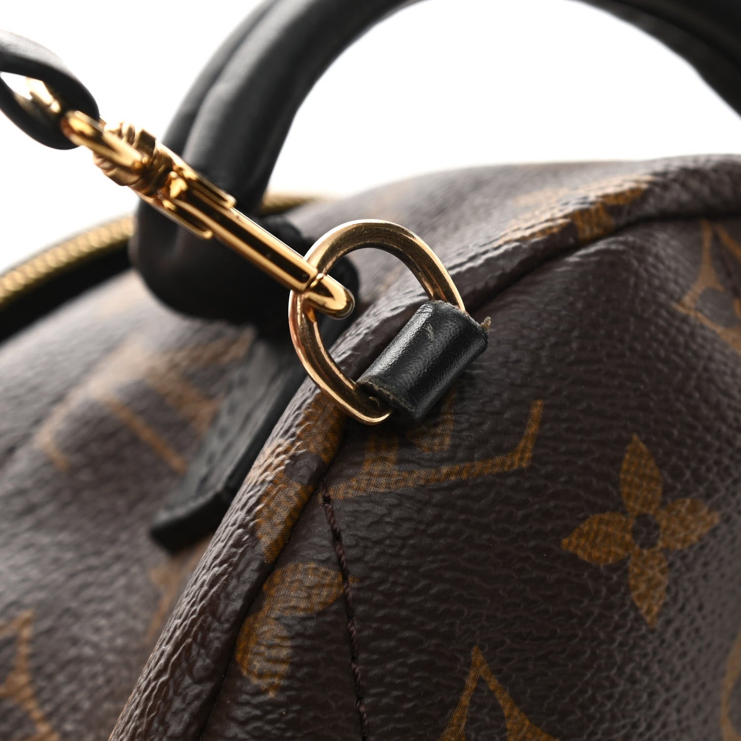 Monogram Palm Springs Backpack Mini