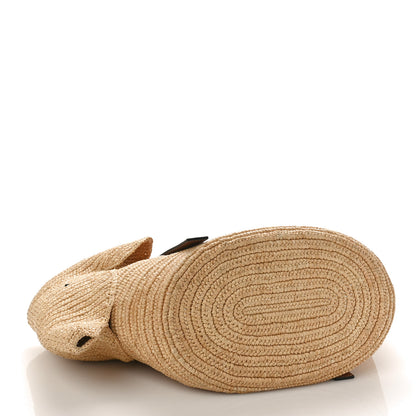 Loewe Raffia Small Elephant Basket Tote Bag Natural Tan 4 of 8