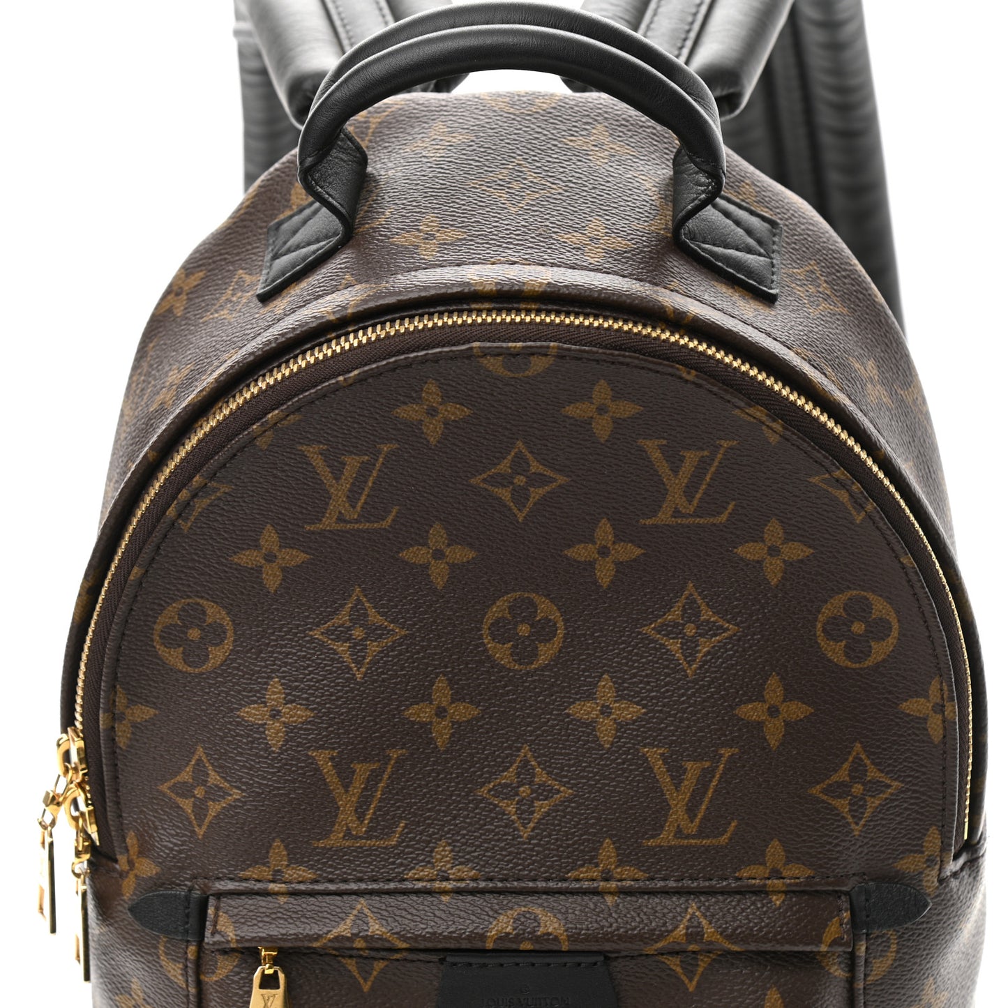 Monogram Palm Springs Backpack PM