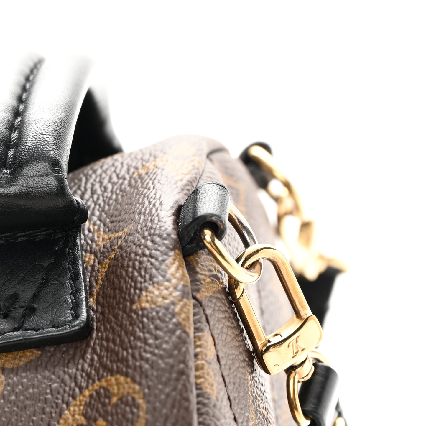 Monogram Palm Springs Backpack Mini