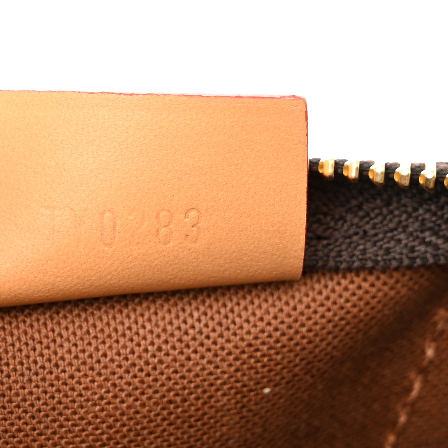 Monogram Nano Speedy Bandouliere