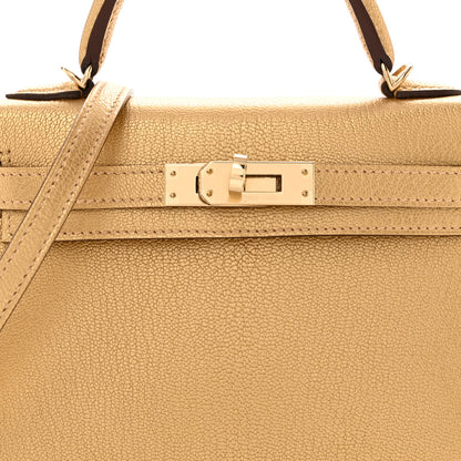 Hermes Metallic Chevre Chamkilight Mini Kelly Sellier 20 Dore 8 of 11