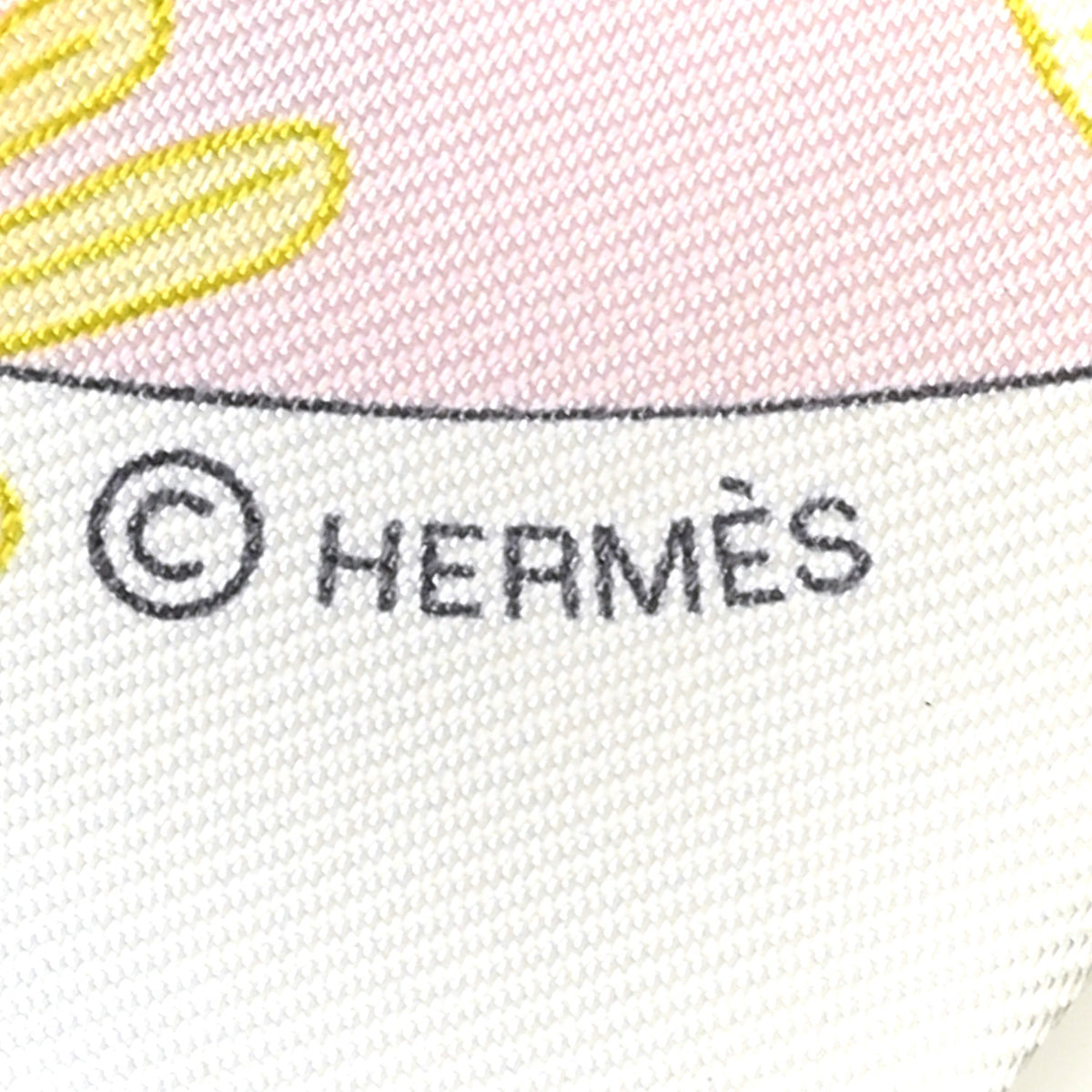 Hermes Precious Paradise Twilly Rose Pale White Bleu 4 of 5