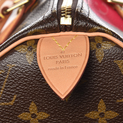 Louis Vuitton Monogram Speedy 30 V Grenade 13 of 13