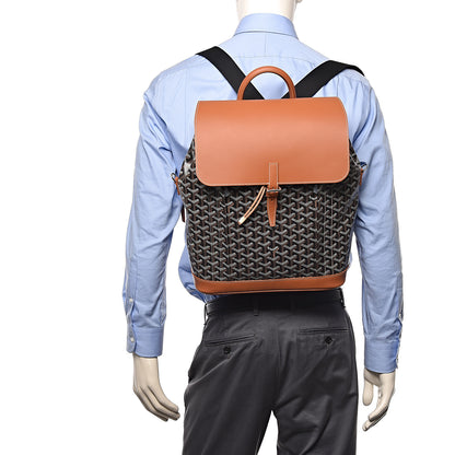 Goyard Goyardine Calfskin Alpin MM Backpack Gold Black 2 of 11