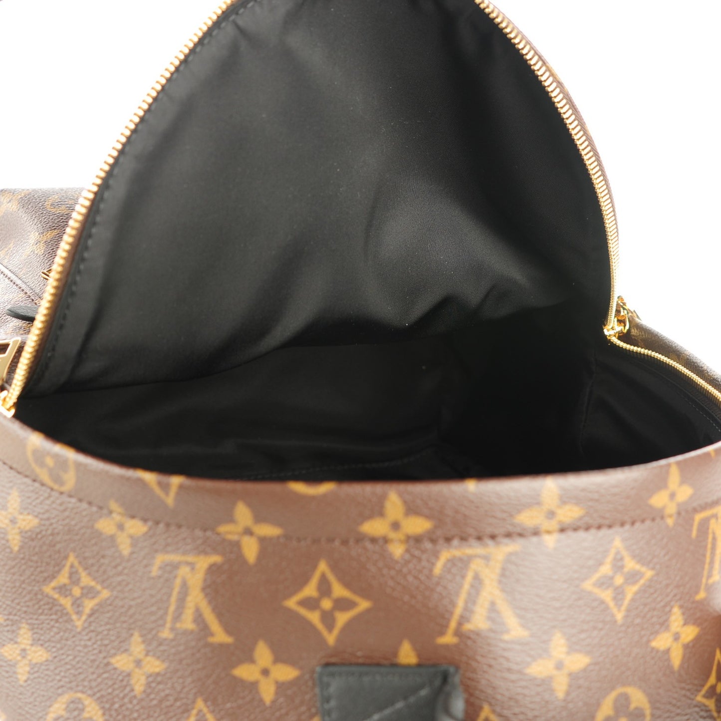 Monogram Palm Springs Backpack MM