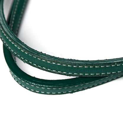 Goyard Goyardine Saint Louis GM Green 12 of 12