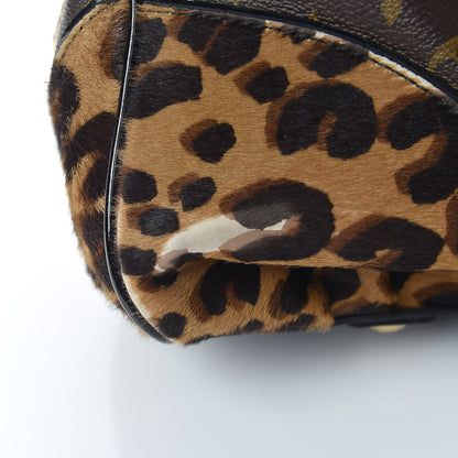 Louis Vuitton Monogram Leopard Adele 11 of 15