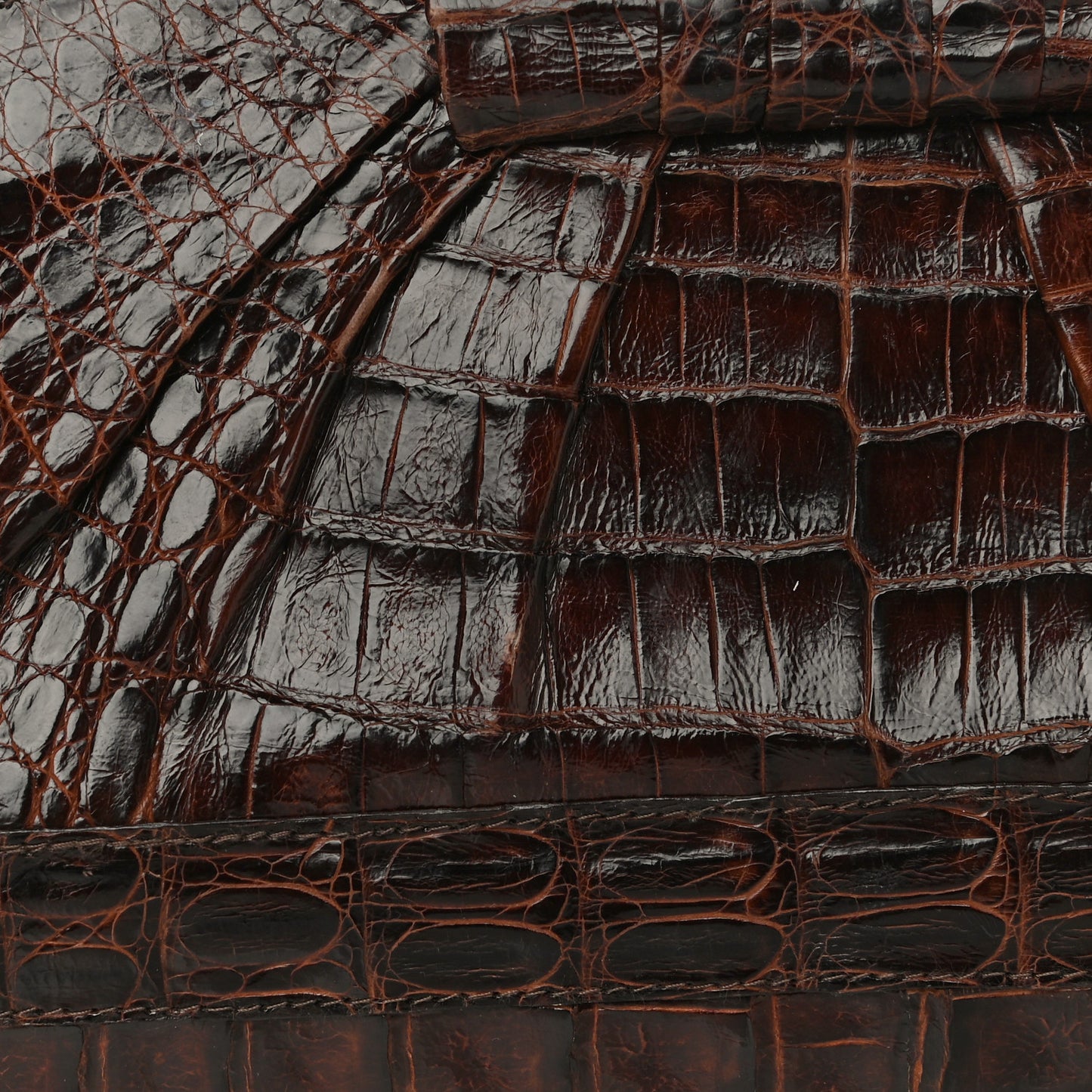 Crocodile Clutch Brown