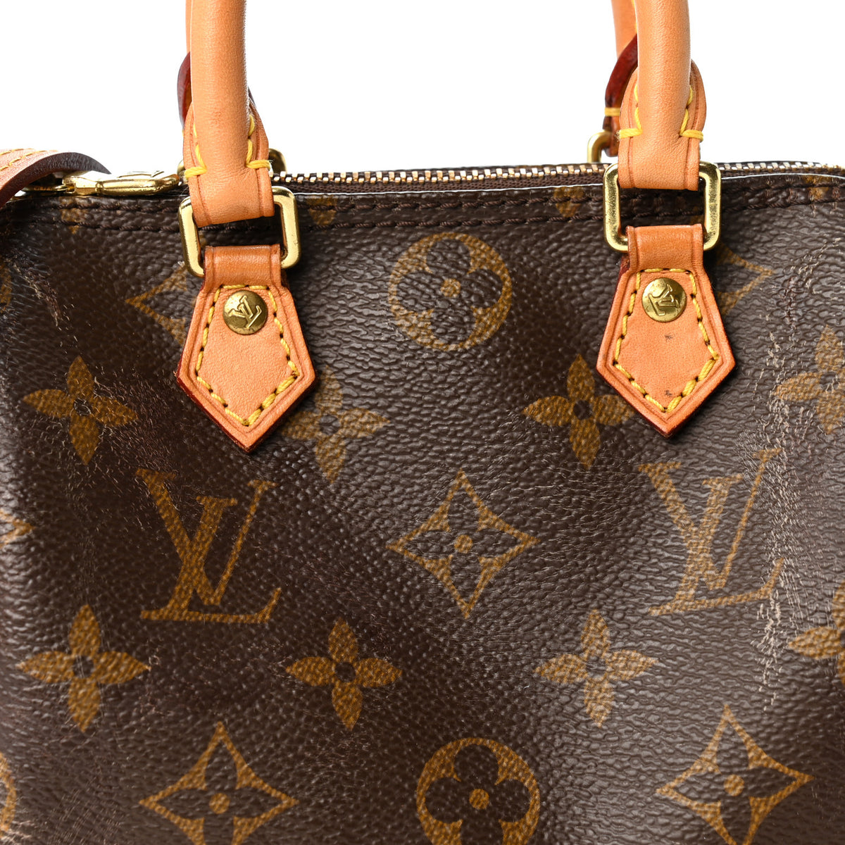 Monogram Nano Speedy