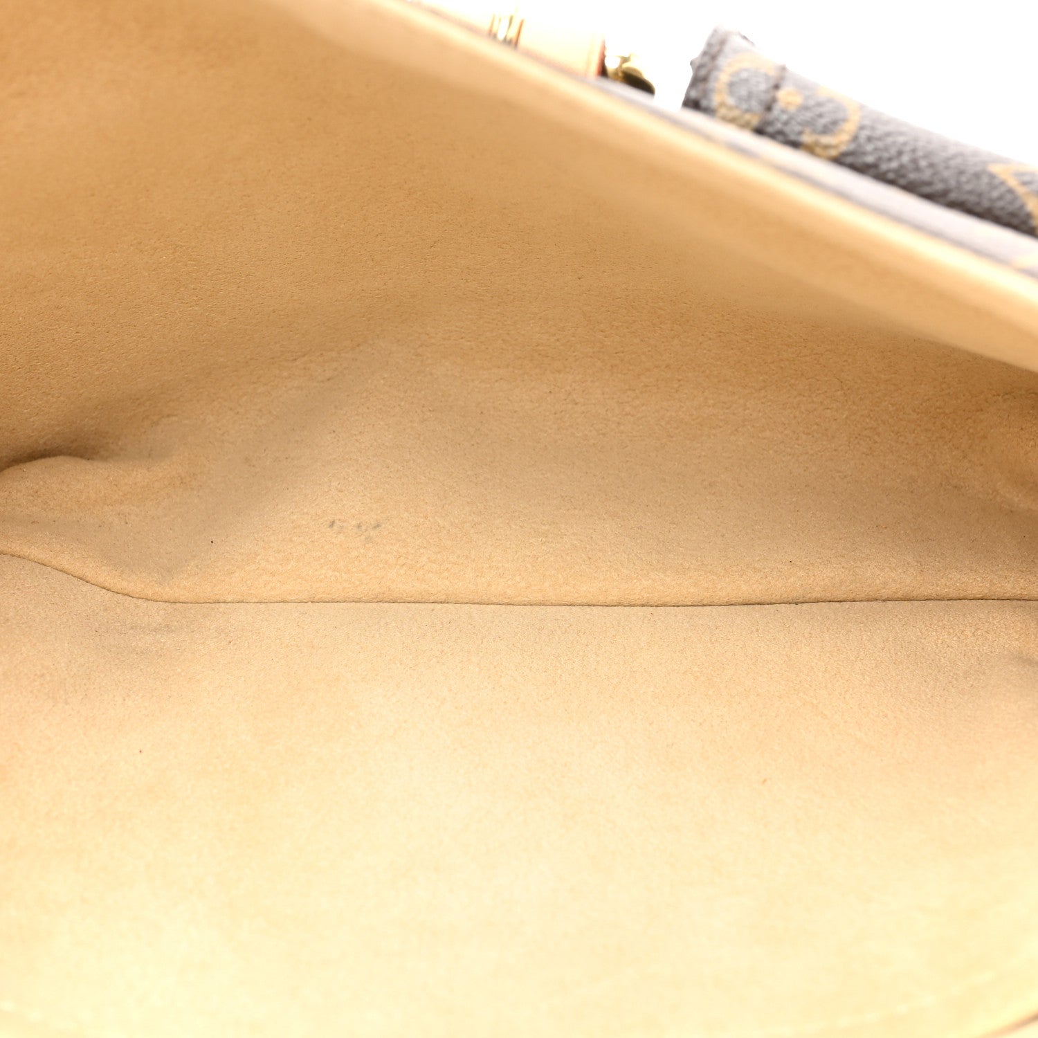 Louis Vuitton Monogram Hudson PM 5 of 18