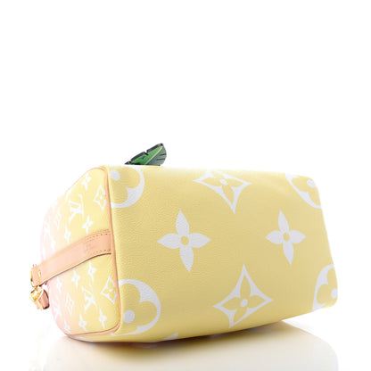 Louis Vuitton Monogram Giant By The Pool Speedy Bandouliere 25 Light Pink 4 of 10
