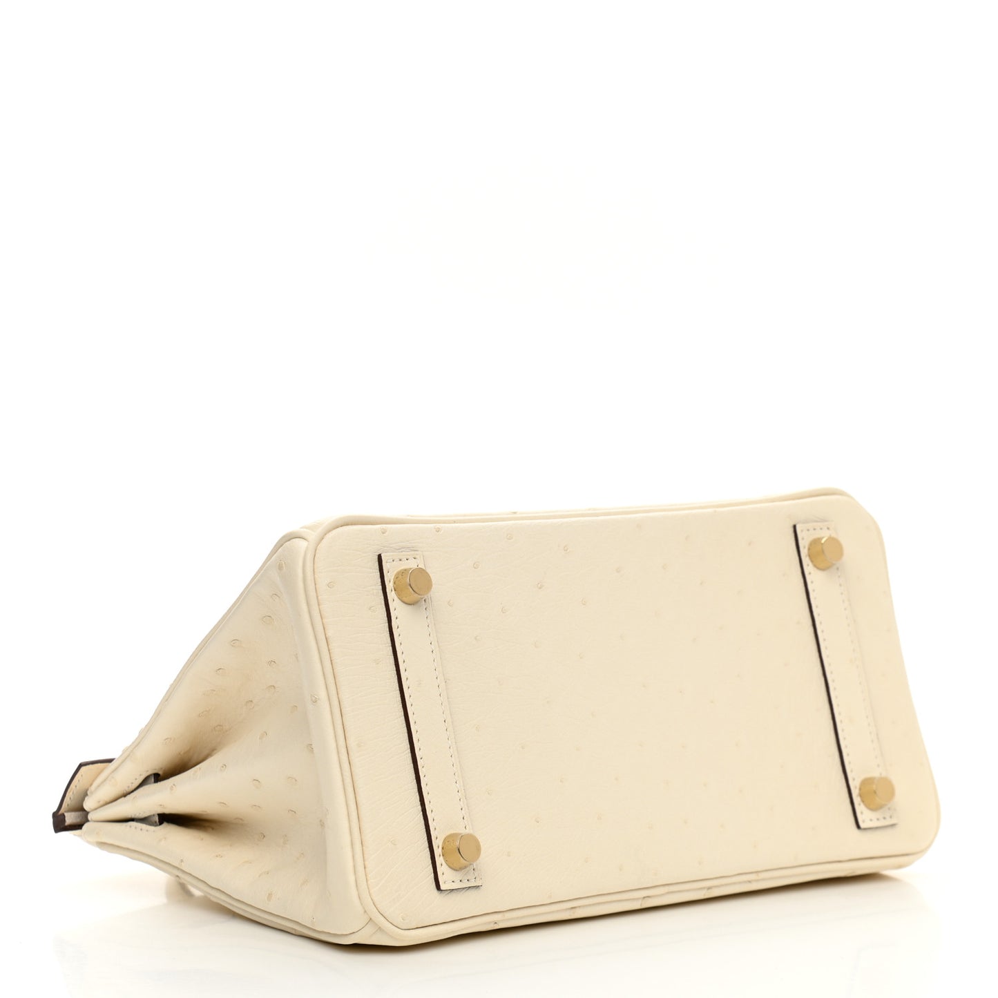 Ostrich Birkin 25 Nata