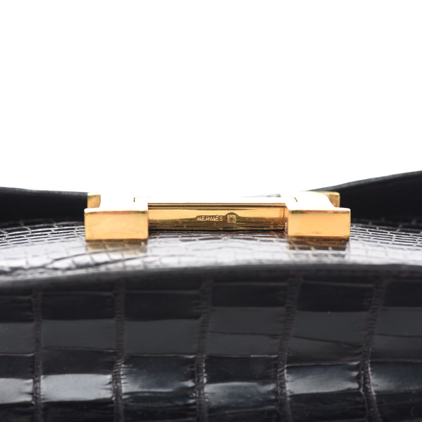 Shiny Alligator Micro Constance 14 Ebene