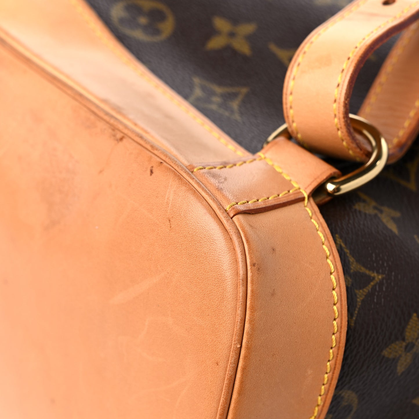 Monogram Montsouris GM Backpack