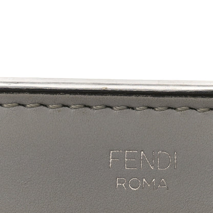 Fendi Vitello Baltico Dolce Elaphe DotCom Satchel Ardesia Grano Multicolor 11 of 11