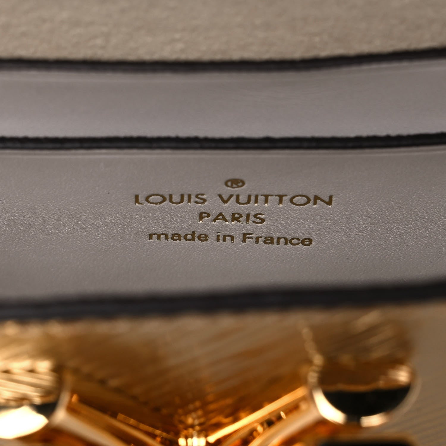 Louis Vuitton Epi Twist PM and Twisty White Gold 9 of 12