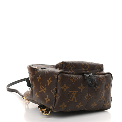 Louis Vuitton Monogram World Tour Palm Springs Backpack Mini 4 of 9