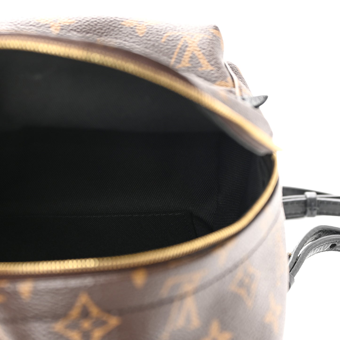 Monogram Palm Springs Backpack Mini