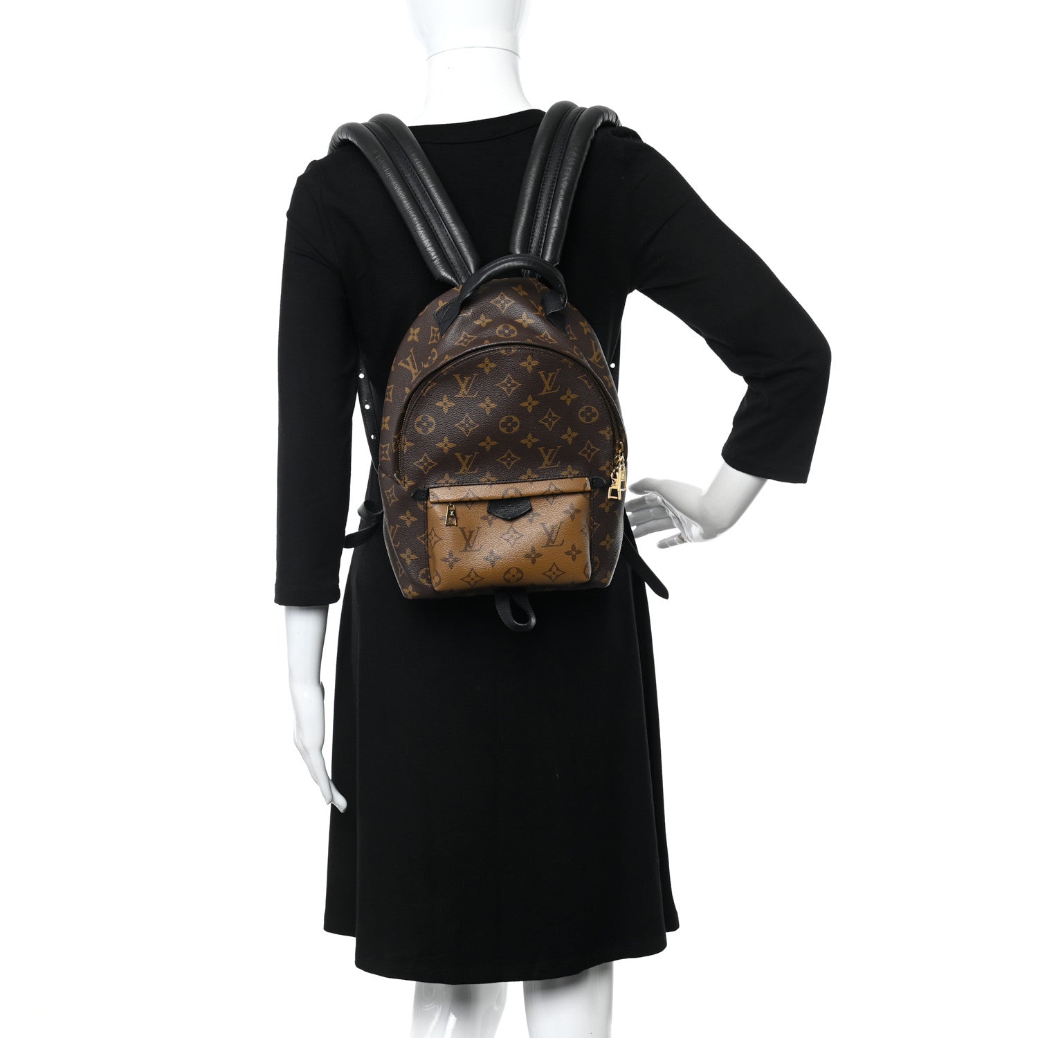 Louis Vuitton Reverse Monogram Palm Springs Backpack PM 3 of 11