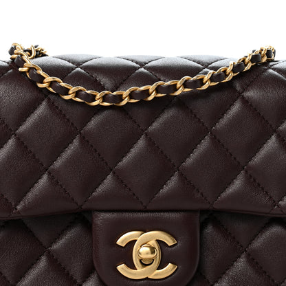 Chanel Lambskin Quilted CC Pearl Crush Mini Flap Dark Brown 8 of 12
