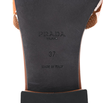 Prada Jacquard Trianglolo Symbole Ibiscus Metal Triangle Logo Embroidered 10mm Slide Sandals 37 Tabacco Talco 7 of 8