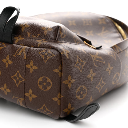 Louis Vuitton Monogram Palm Springs Backpack PM 9 of 9