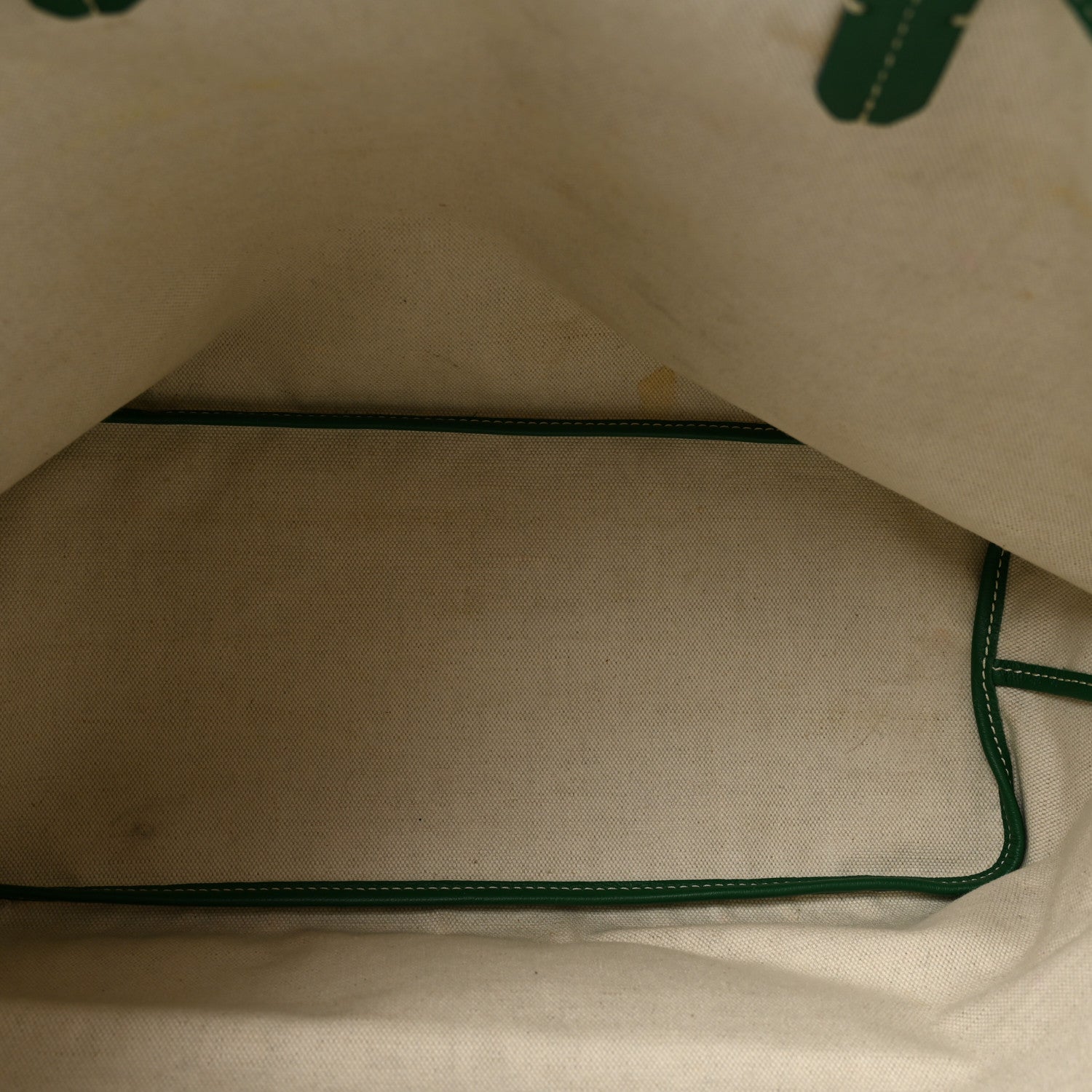 Goyard Saint Louis PM Green 6 of 12