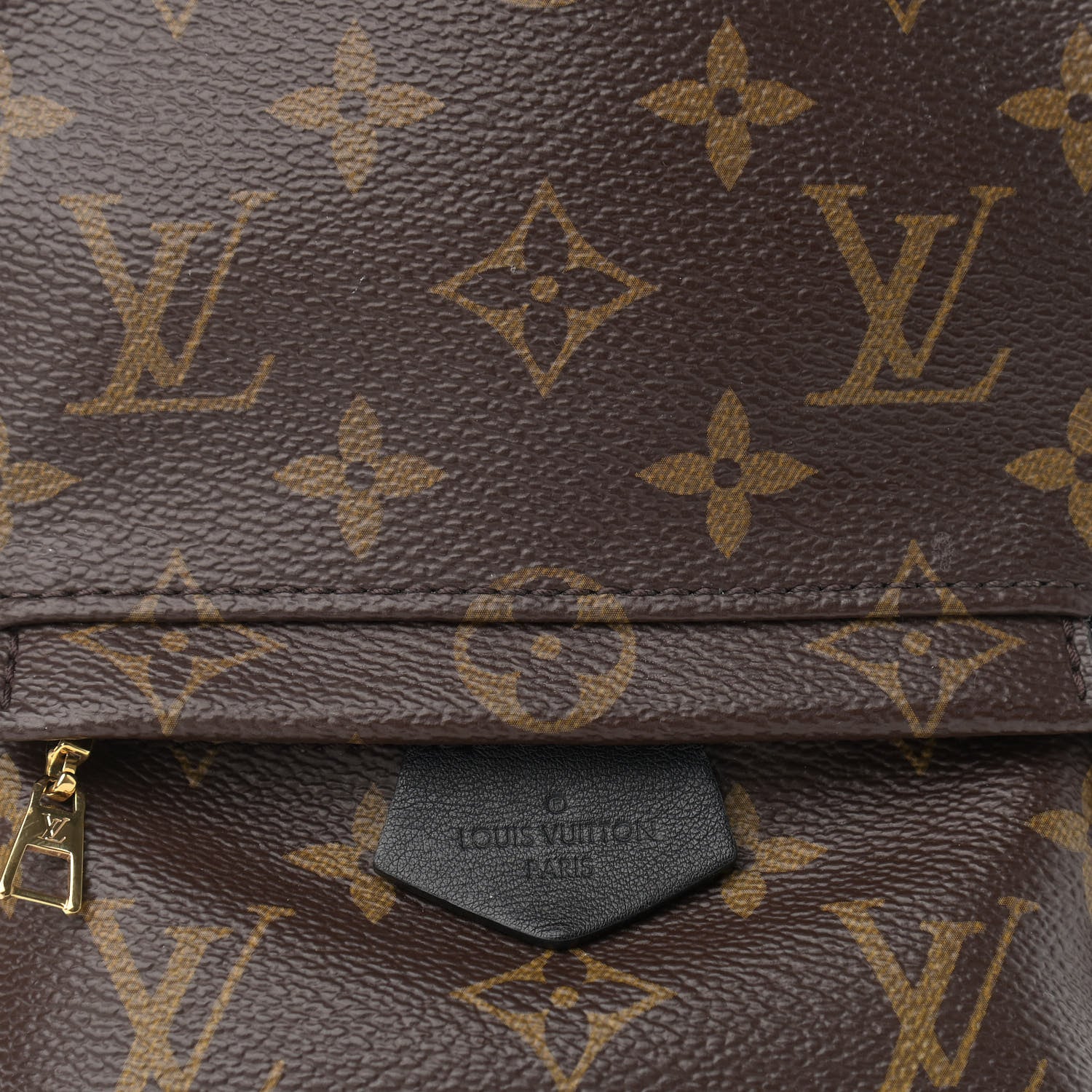 Louis Vuitton Monogram Palm Springs Backpack Mini 5 of 16