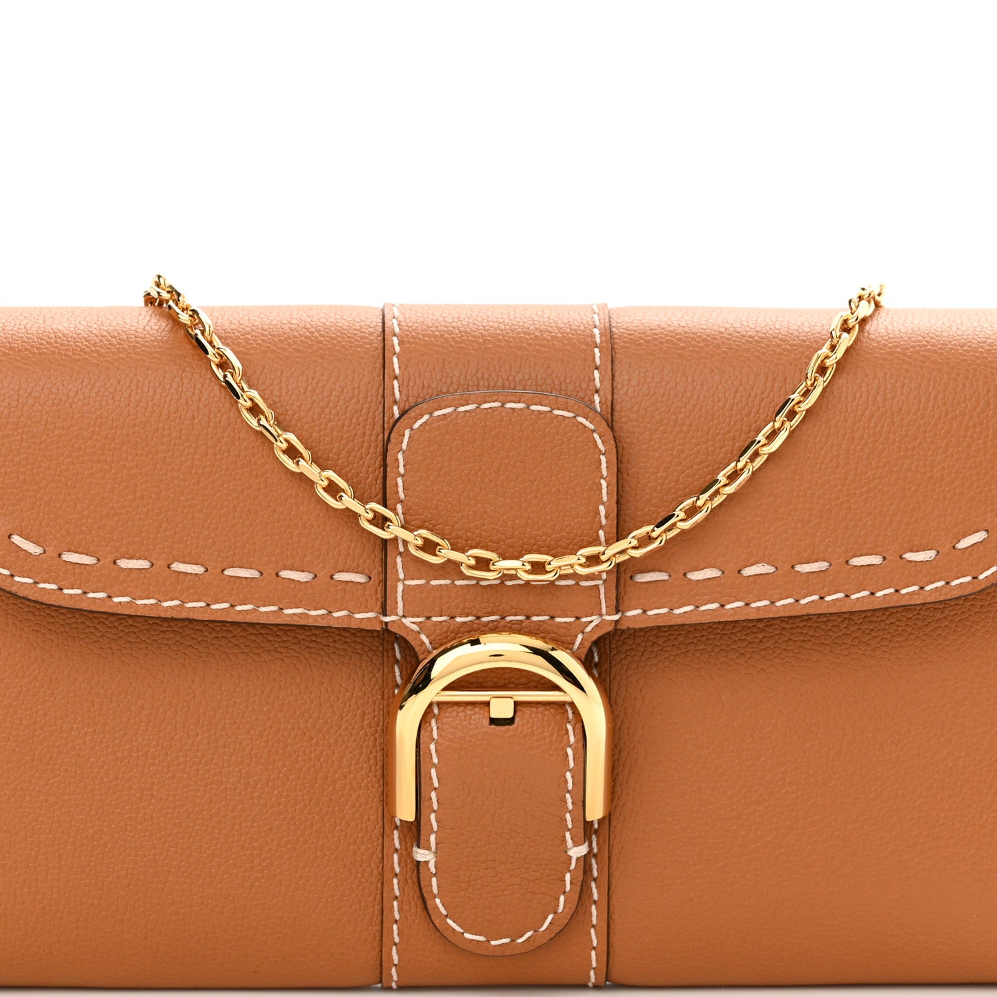 Rodeo Calfskin Surpique Brillant Wallet on Chain Vegetal