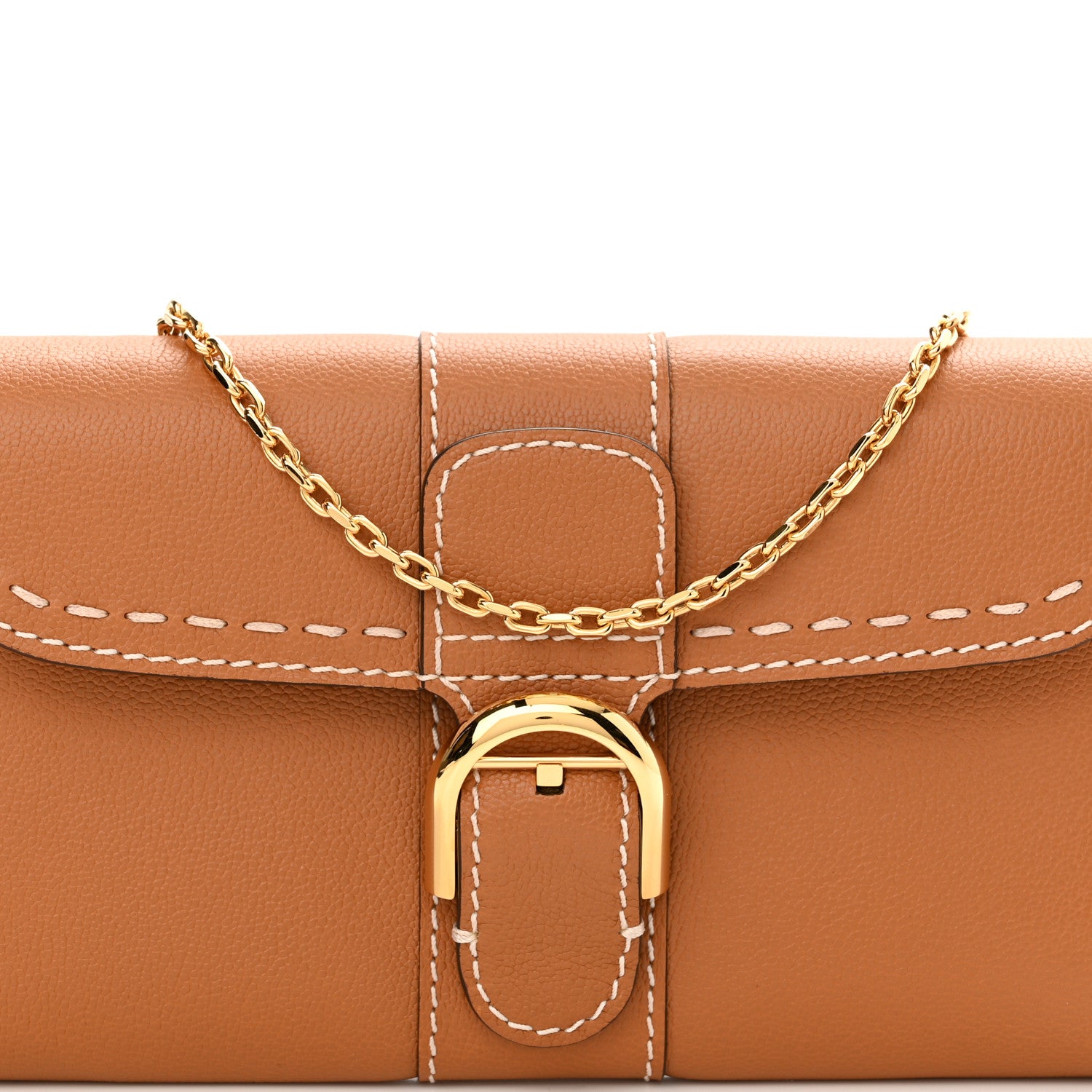 Delvaux Rodeo Calfskin Surpique Brillant Wallet on Chain Vegetal 7 of 9