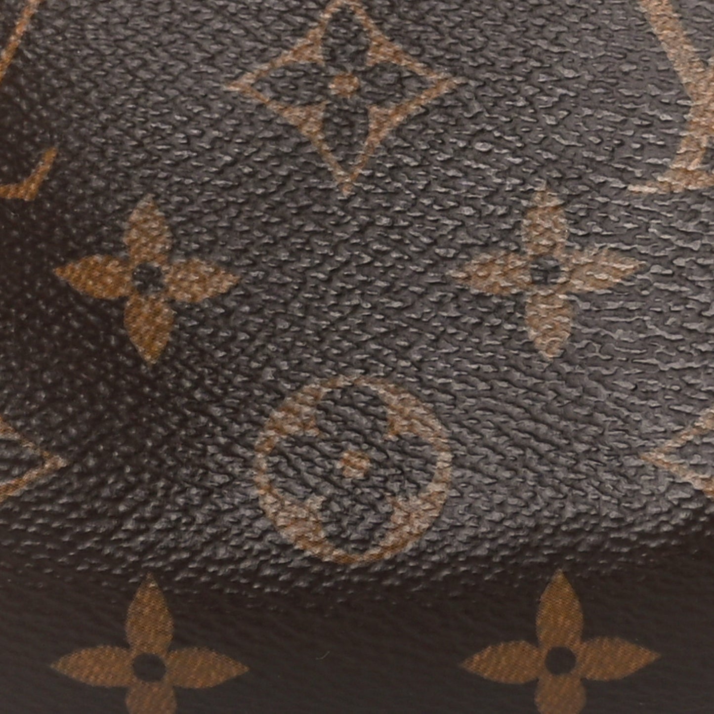 Monogram Nano Speedy