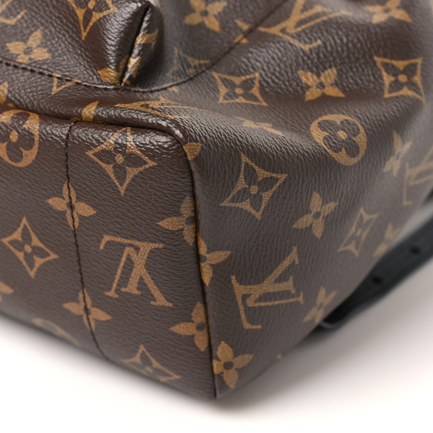Monogram Palm Springs Backpack MM