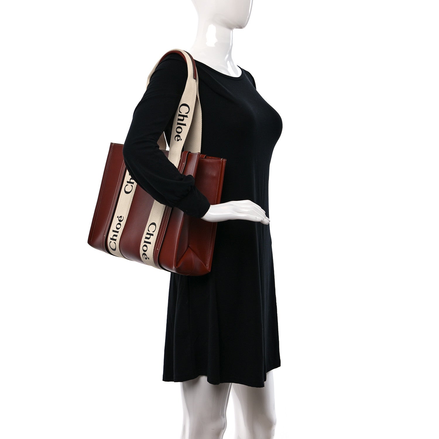 Chloe Calfskin Canvas Small Woody Tote Sepia Brown 2 of 8