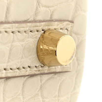 Hermes Matte Alligator Birkin 25 Beton 19 of 22